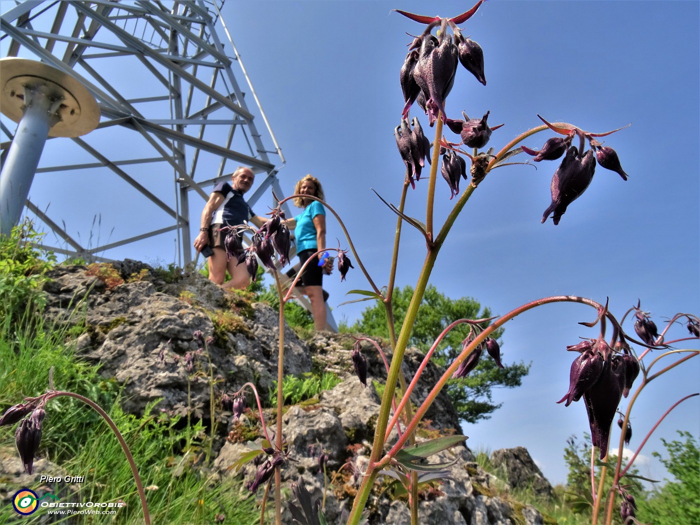 49  Aquilegia con Rosa e Franco alla croce dello Zucco.JPG